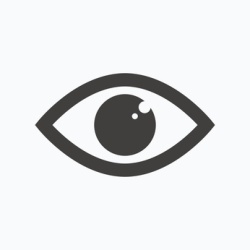 eye icon.jpg